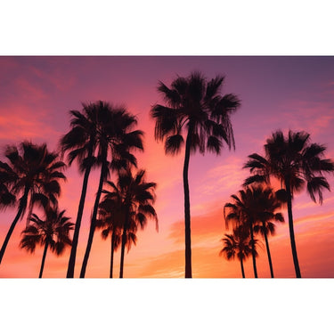 Tableau De Palmiers Coucher De Soleil